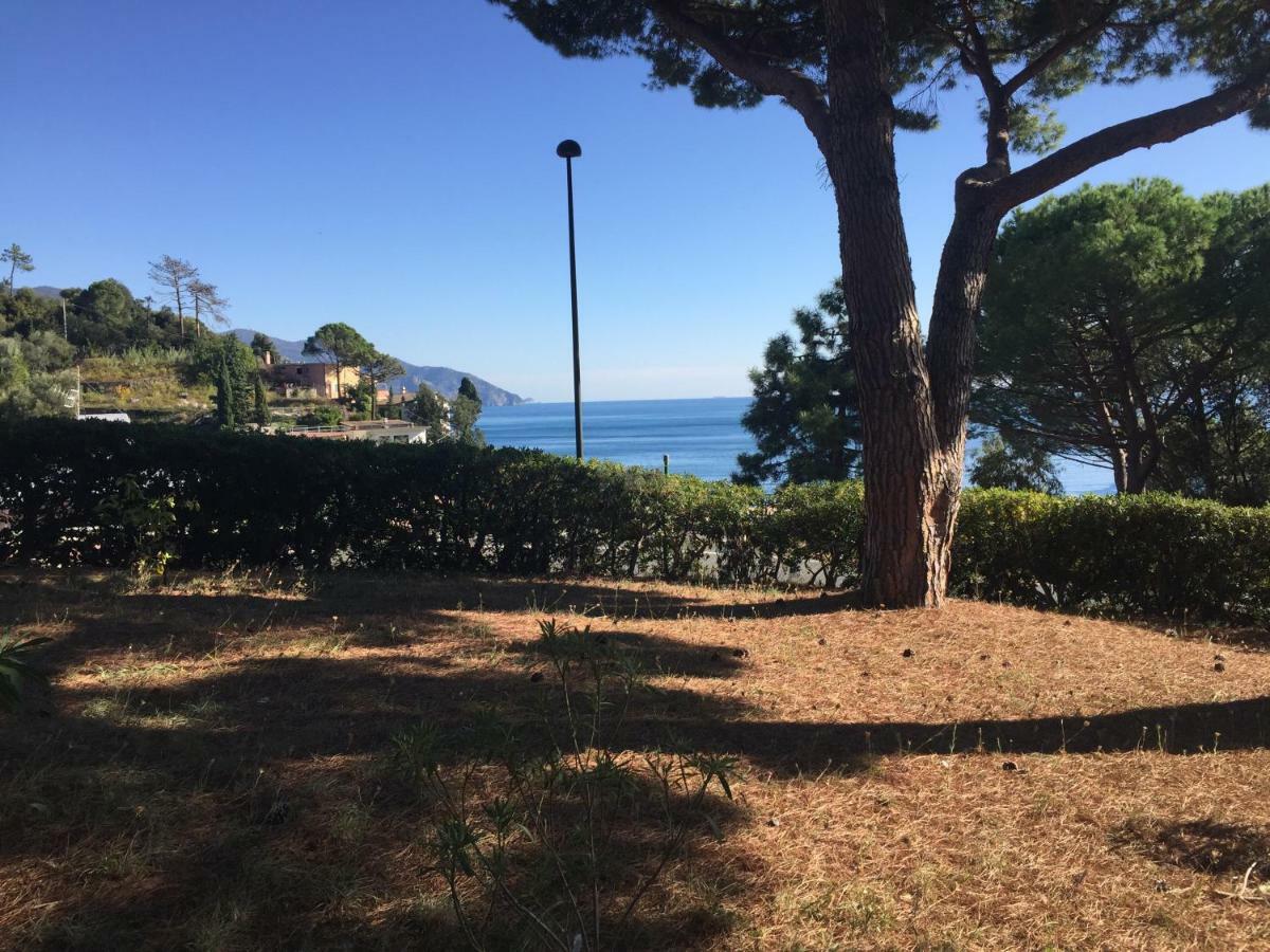 Appartement Il Nido Della Gazza à Monterosso al Mare Extérieur photo